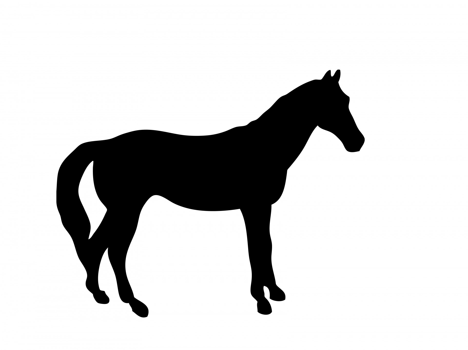 Силуэт лошади
