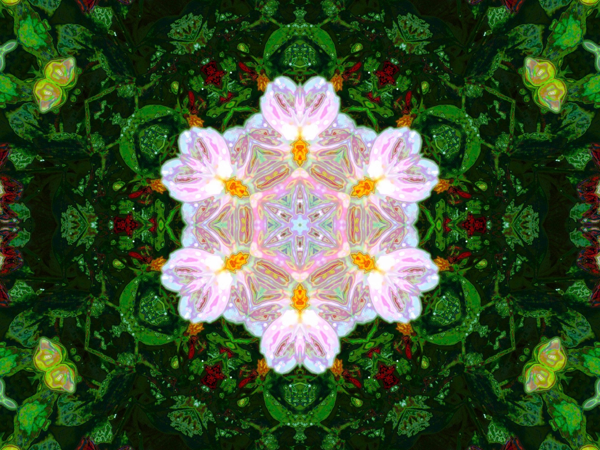 Kaleidoskop mit rosa Blume