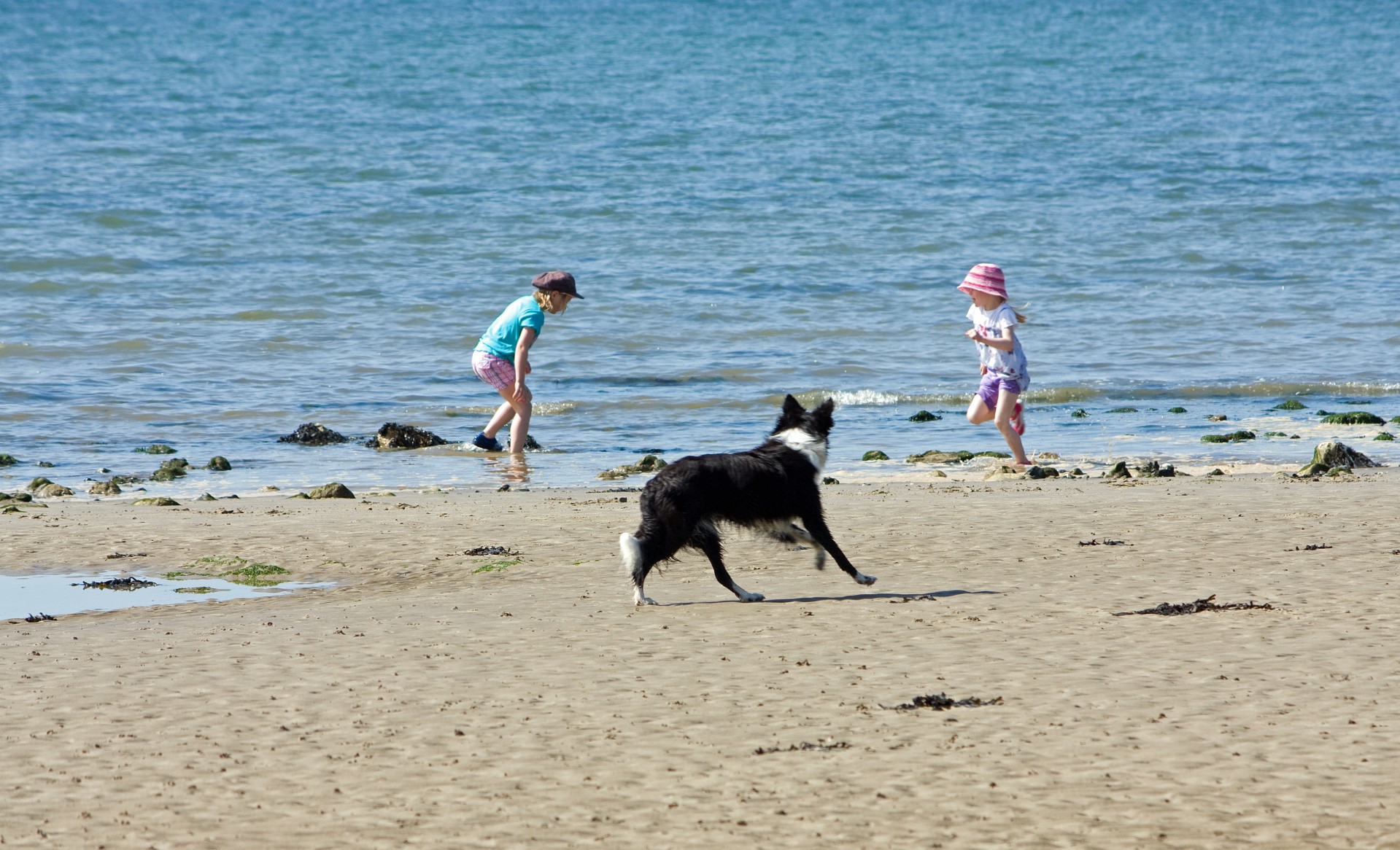Дети Dog Beach Fun