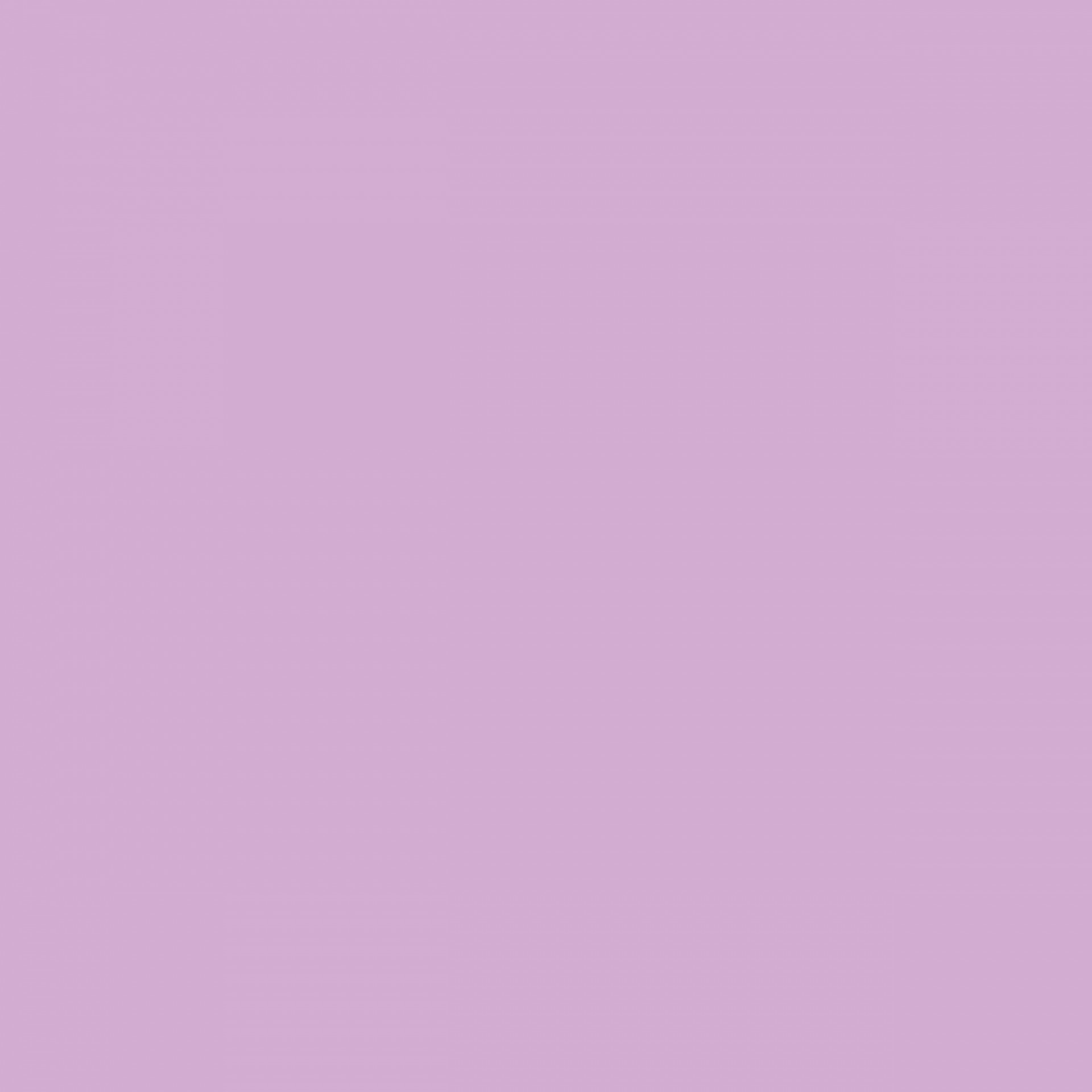 Lavanda, fundo violeta