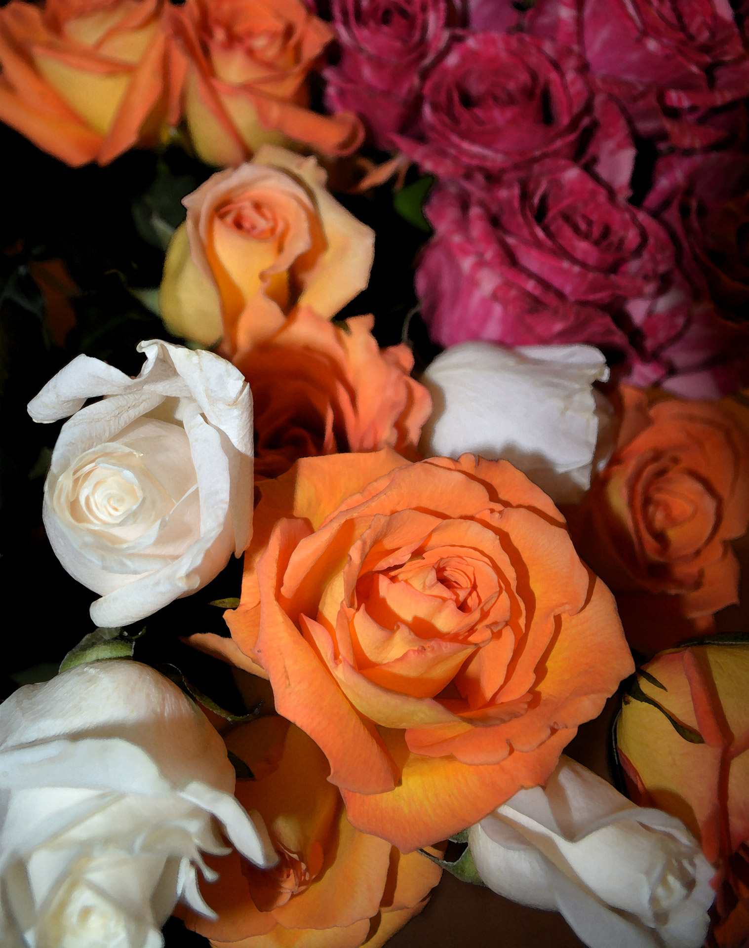 Love Flower цветущих роз