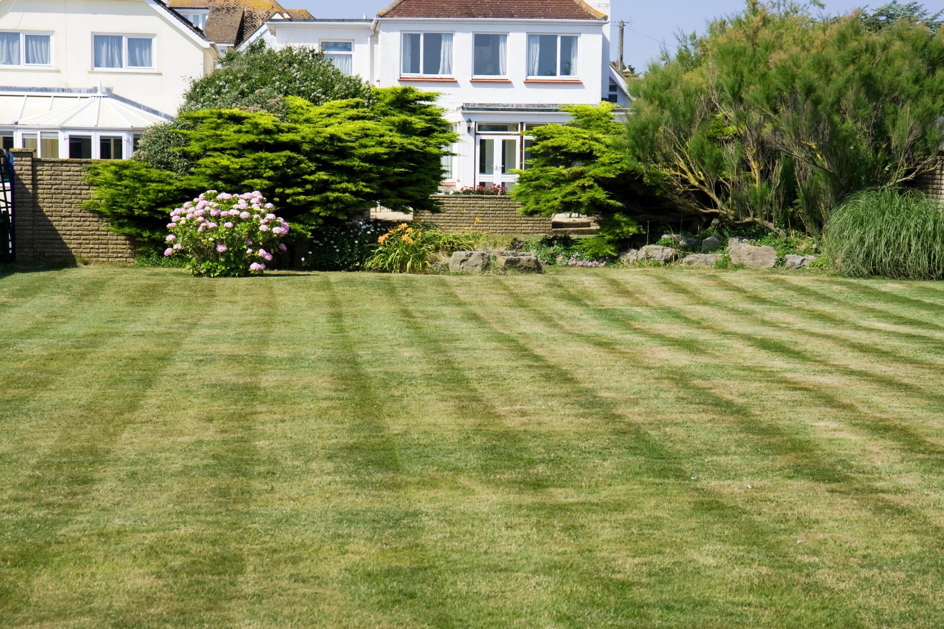 Mowed Garden Lawn Free Stock Photo - Public Domain Pictures
