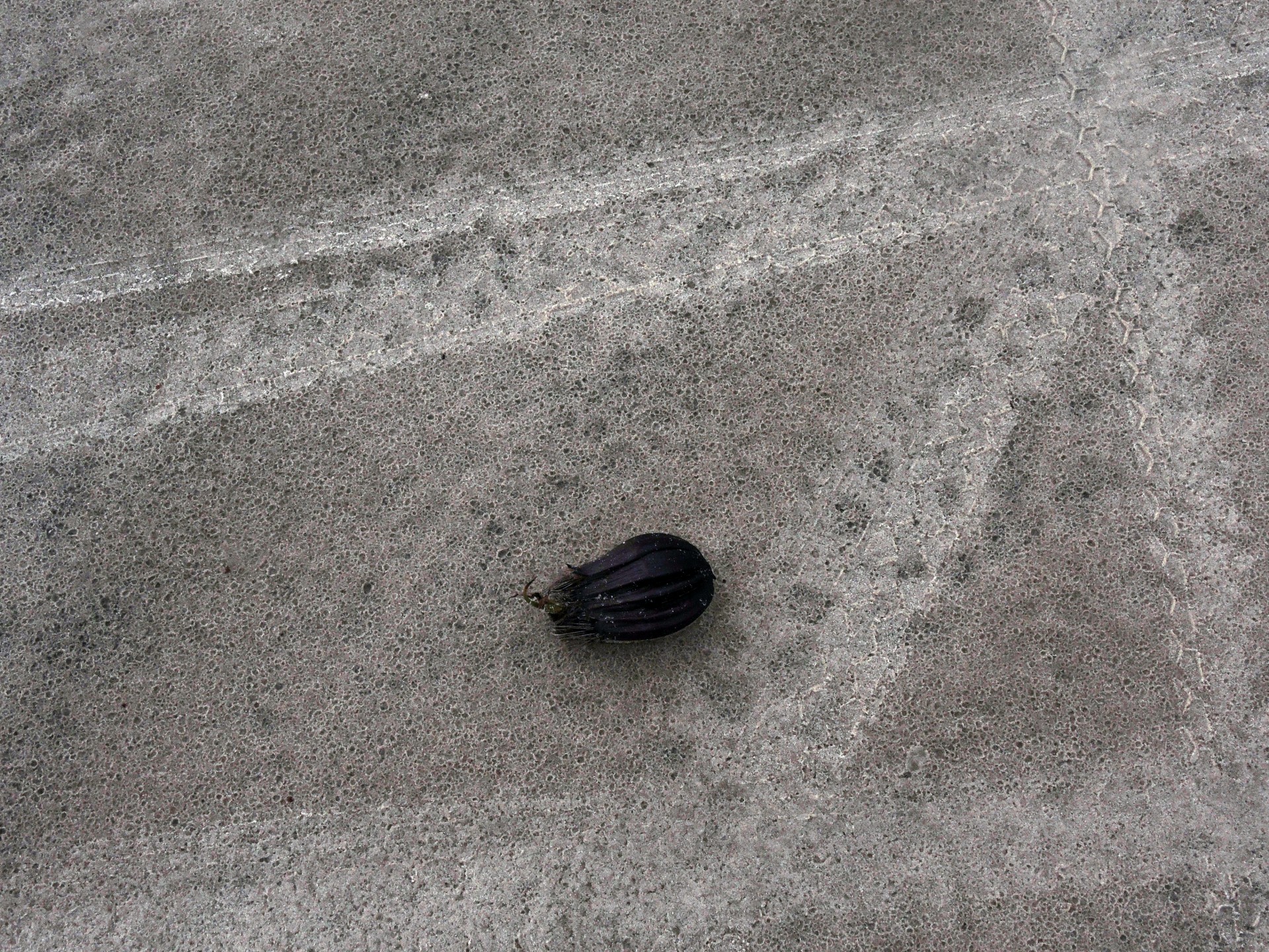Objekt auf einem Strand