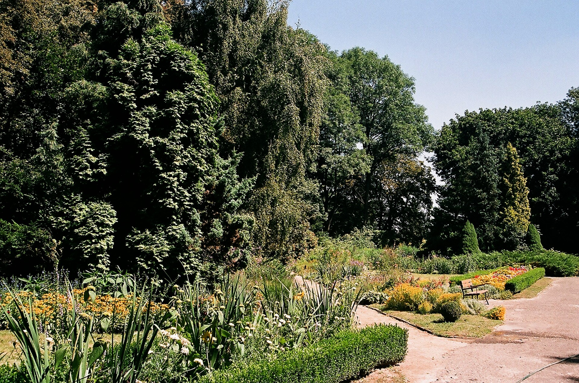 Ботанический сад 7