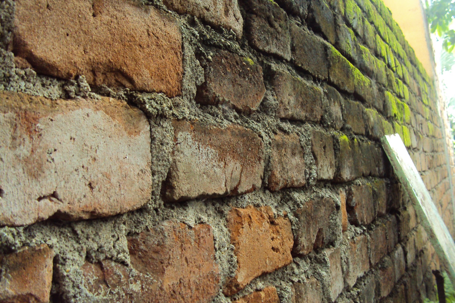 Vieux mur de briques humides