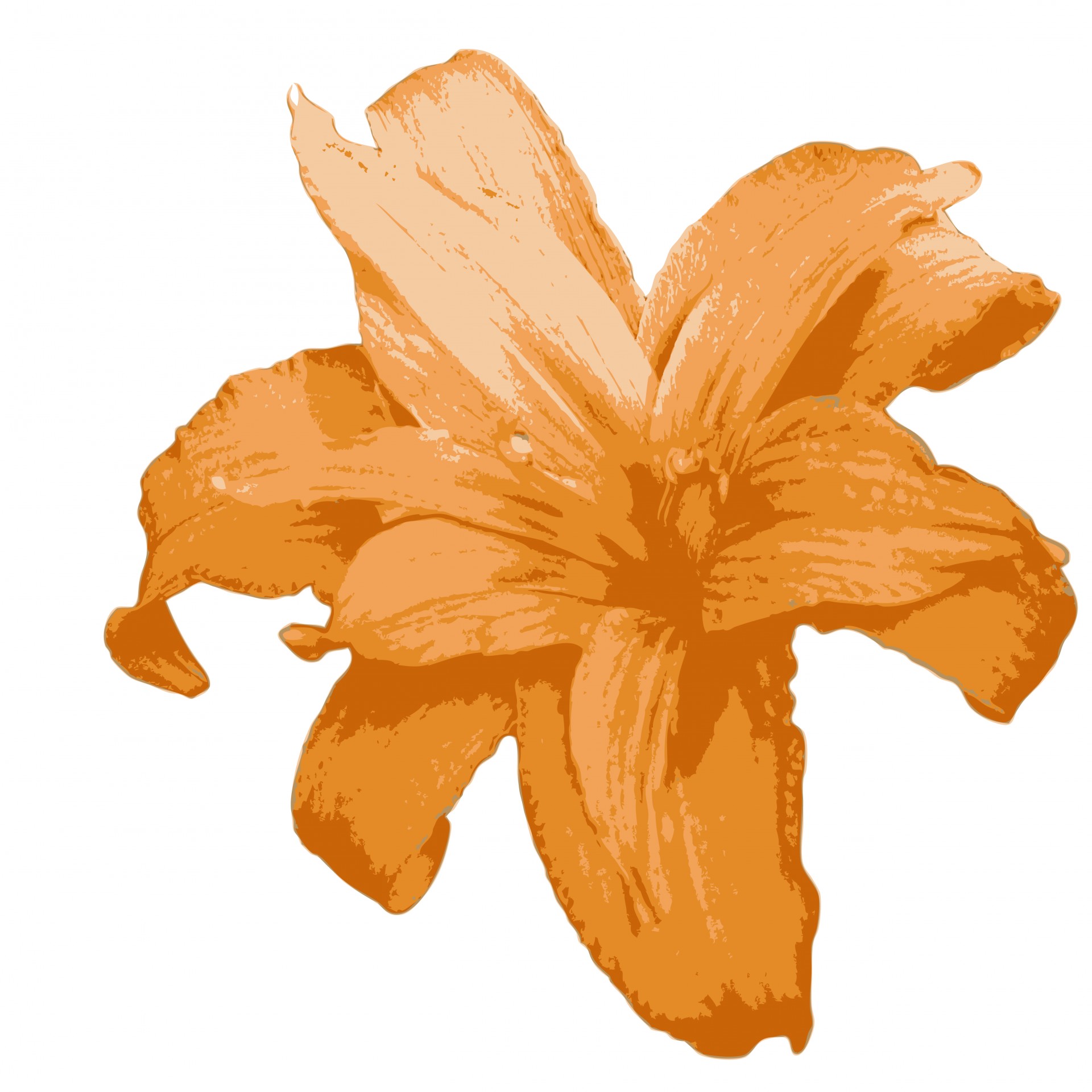 Оранжевый цветок лилии Клипарт