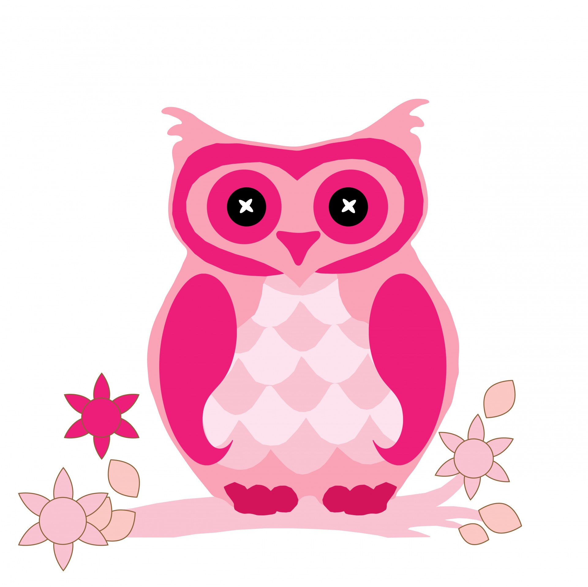 Owl Clipart Cute Pink