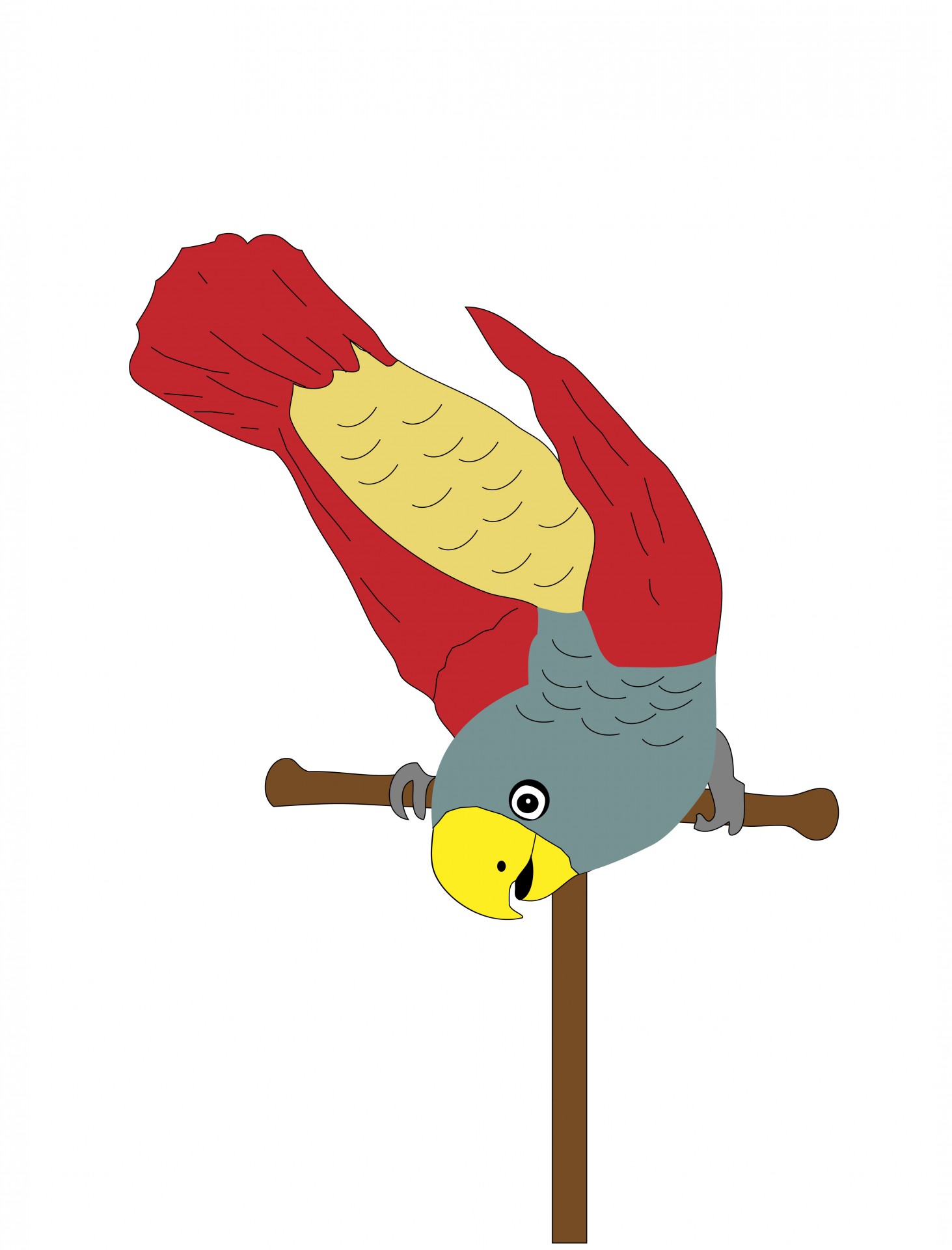 Papageien-Vogel-Illustration