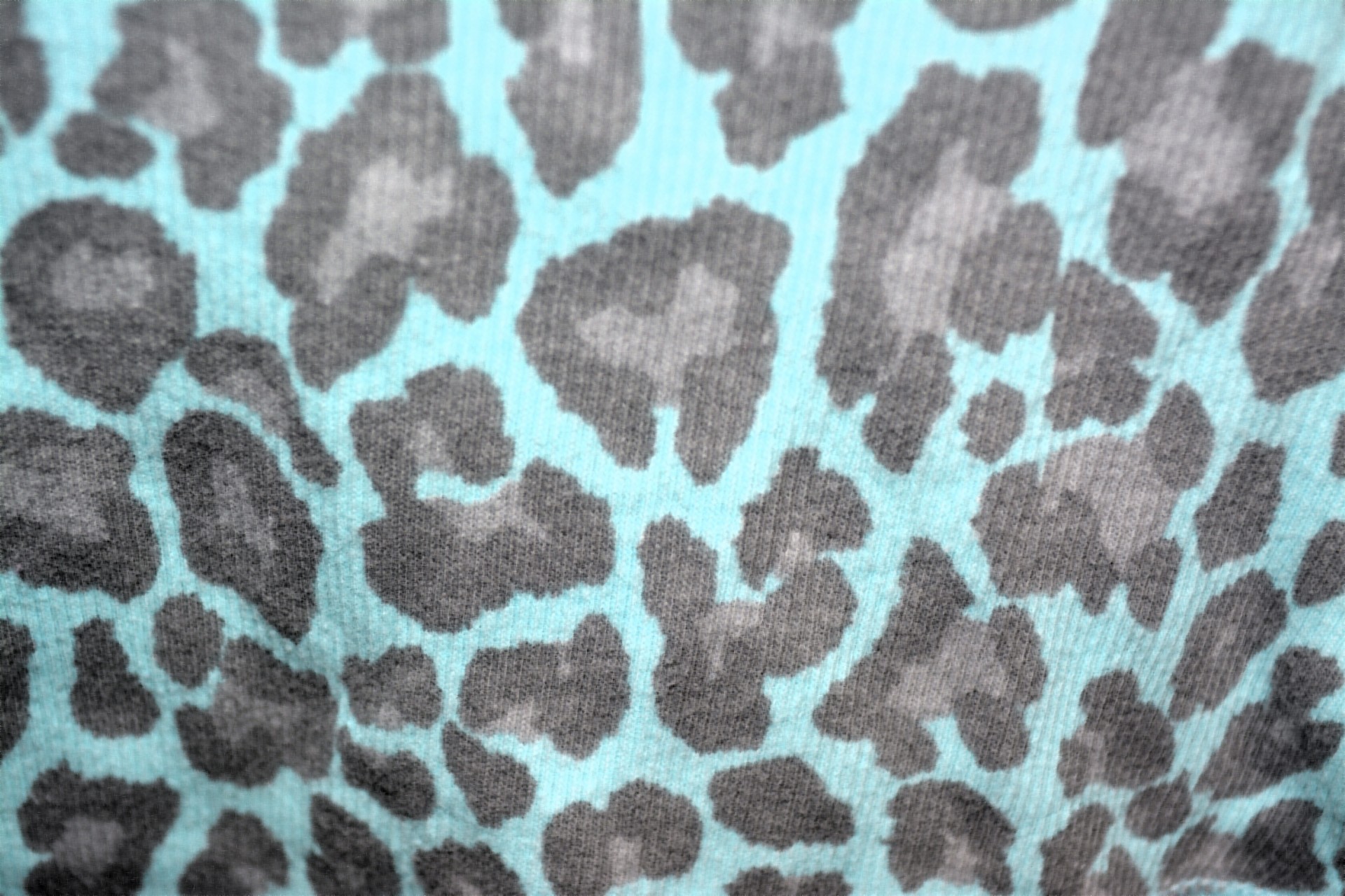 Леопардовым узором синего фона