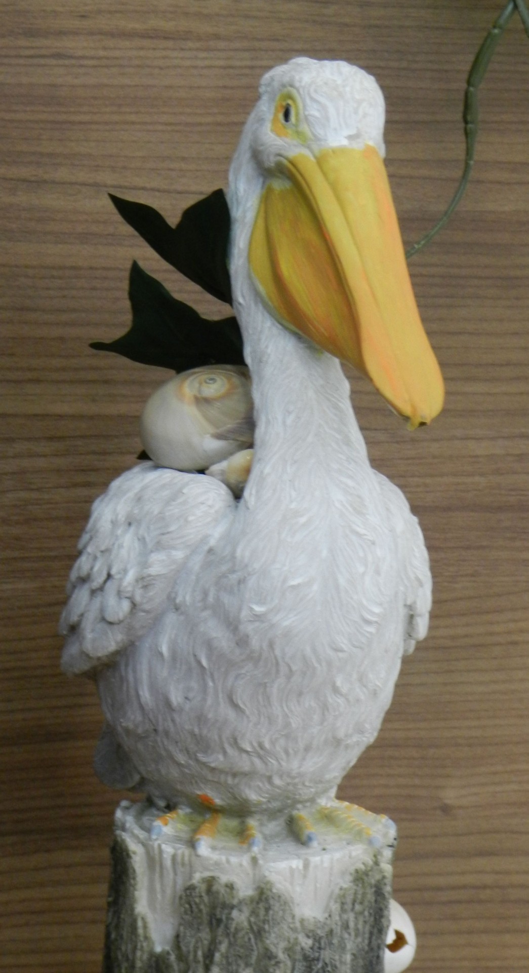 Pelican # 1