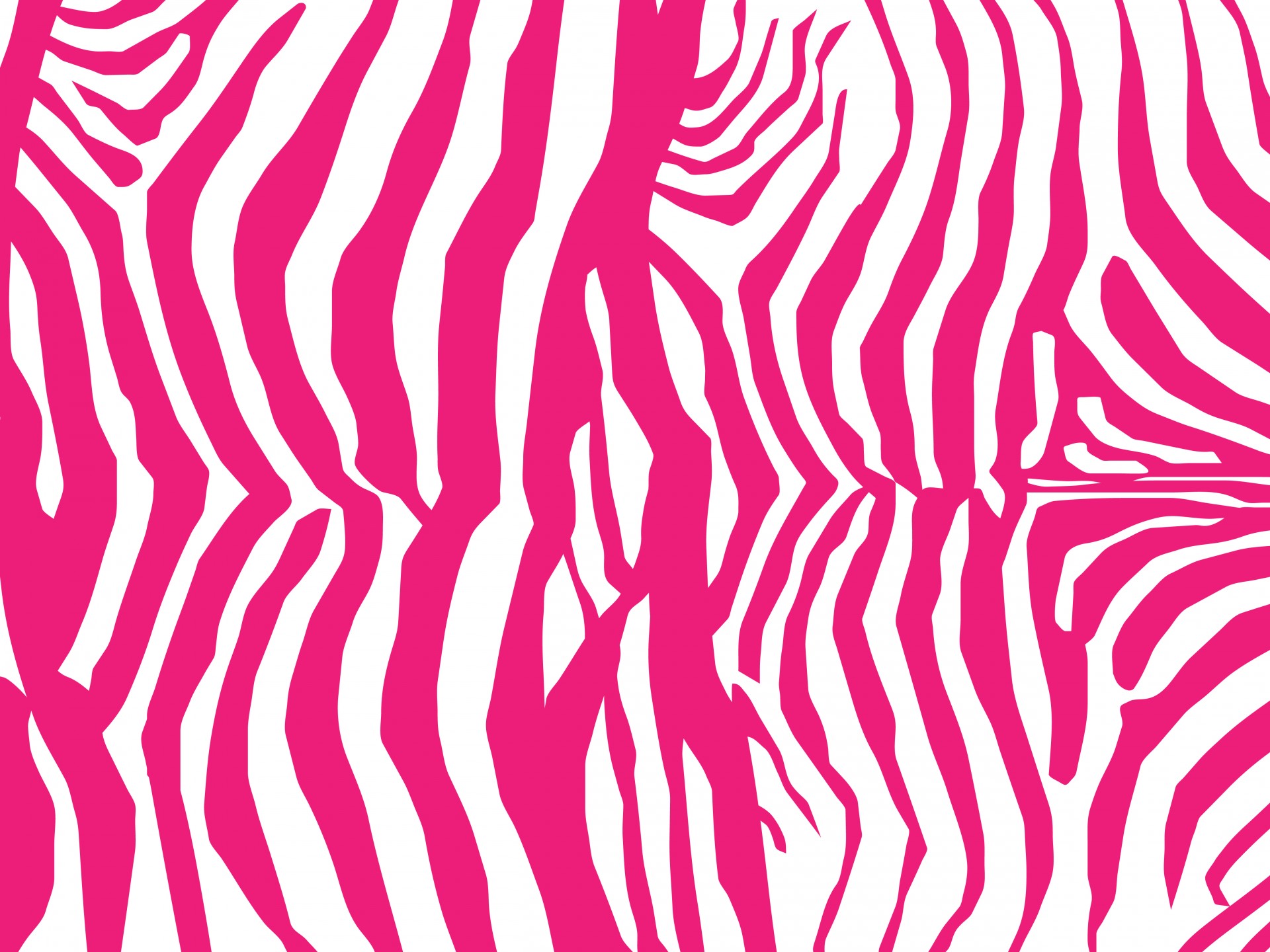 Pink Zebra Skin Achtergrond