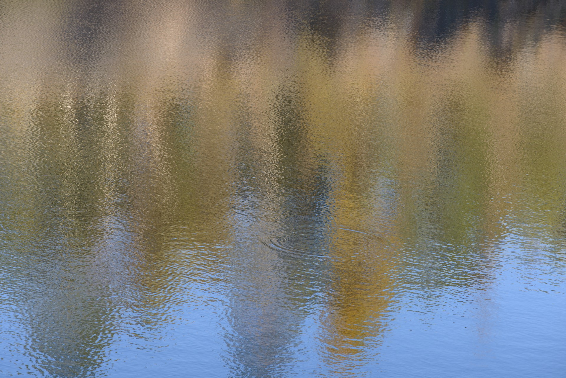 Herbst auf dem Teich 1