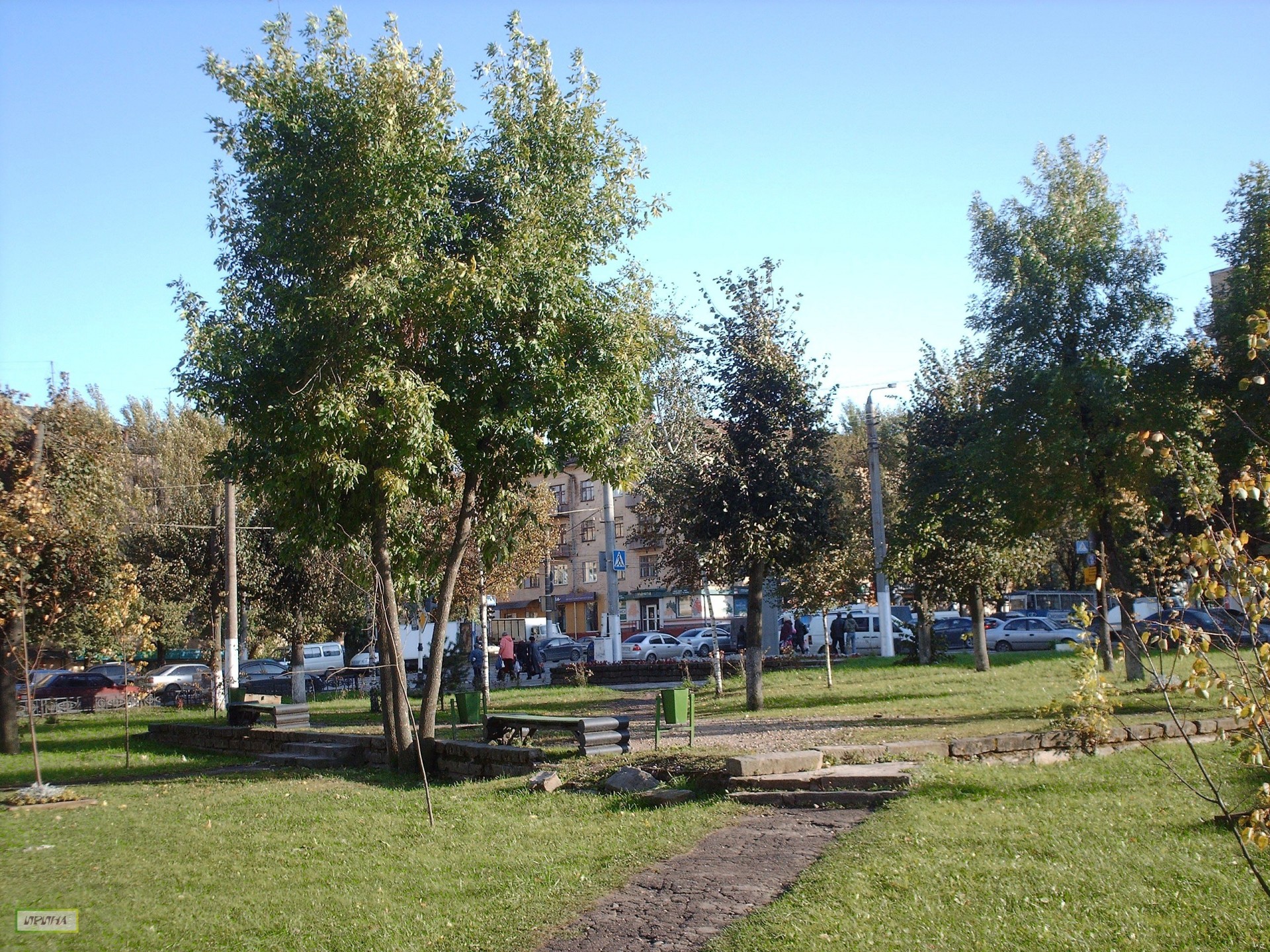Общественный сад в Смоленске