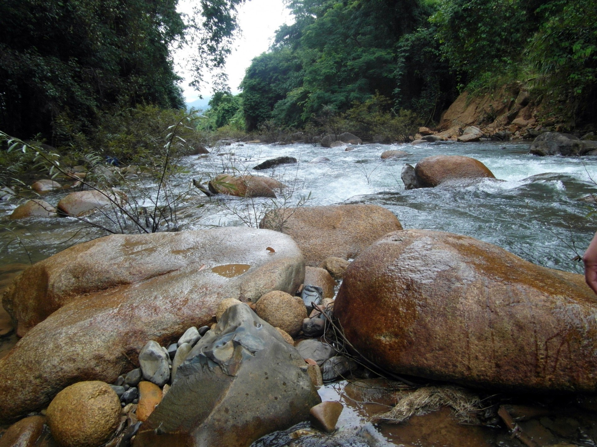 Fluss-und Waldlandschaft