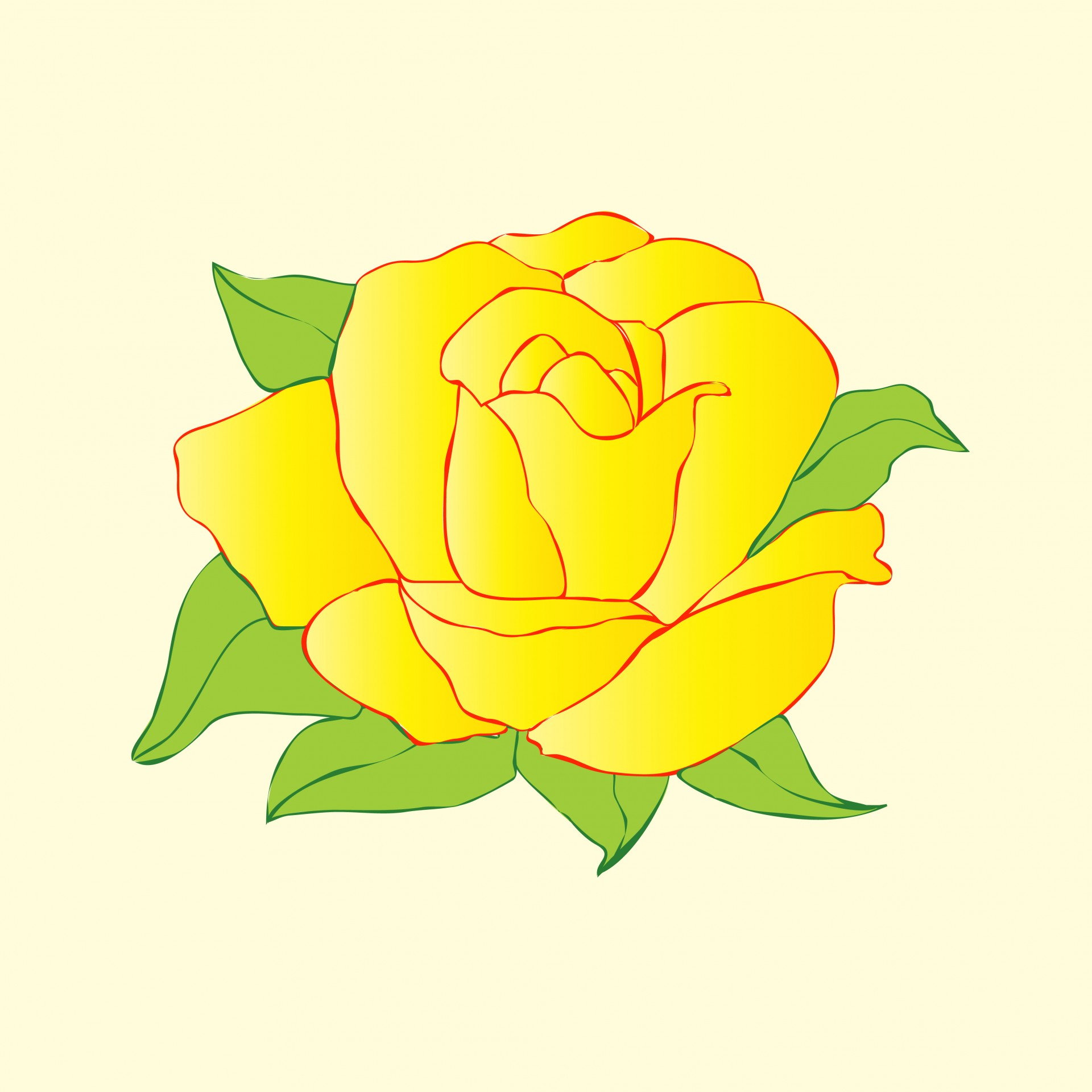 Желтый цветок розы