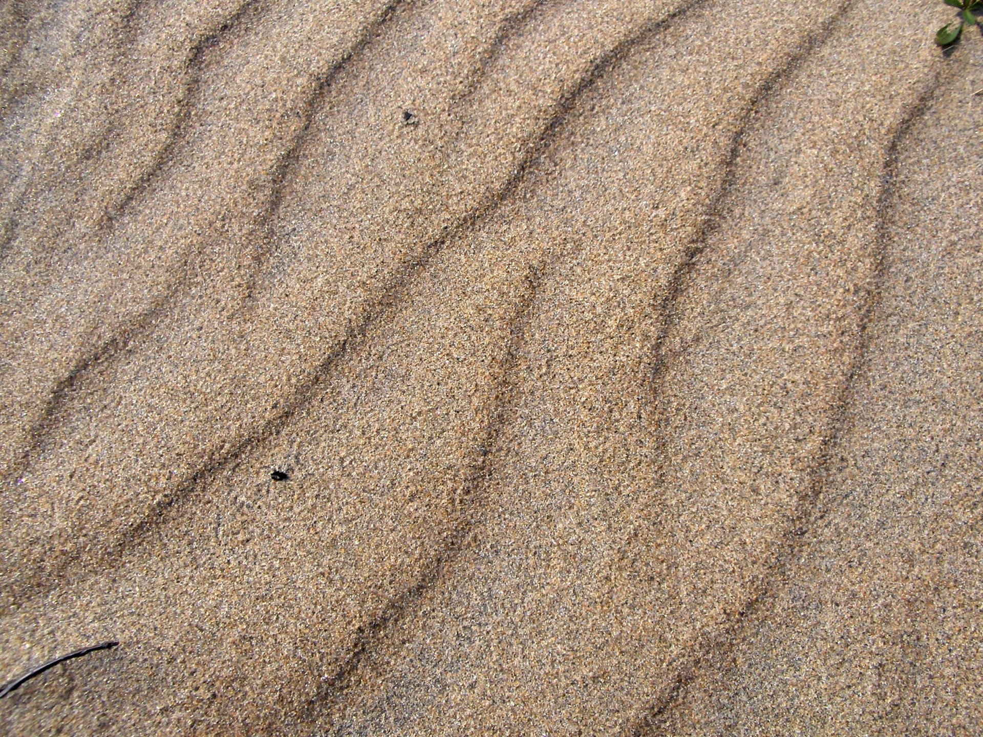 Песчаный пляж (5)