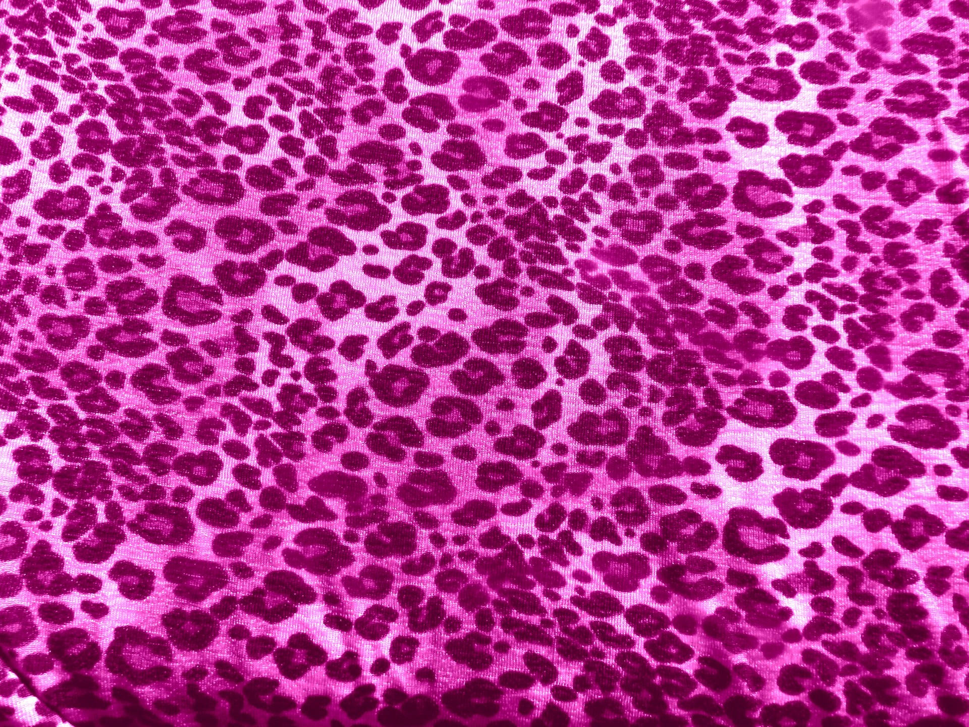 Safari pink # 5b
