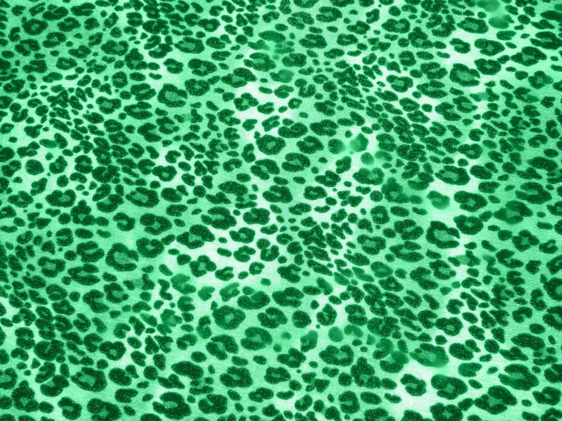 Safari зеленый # 2