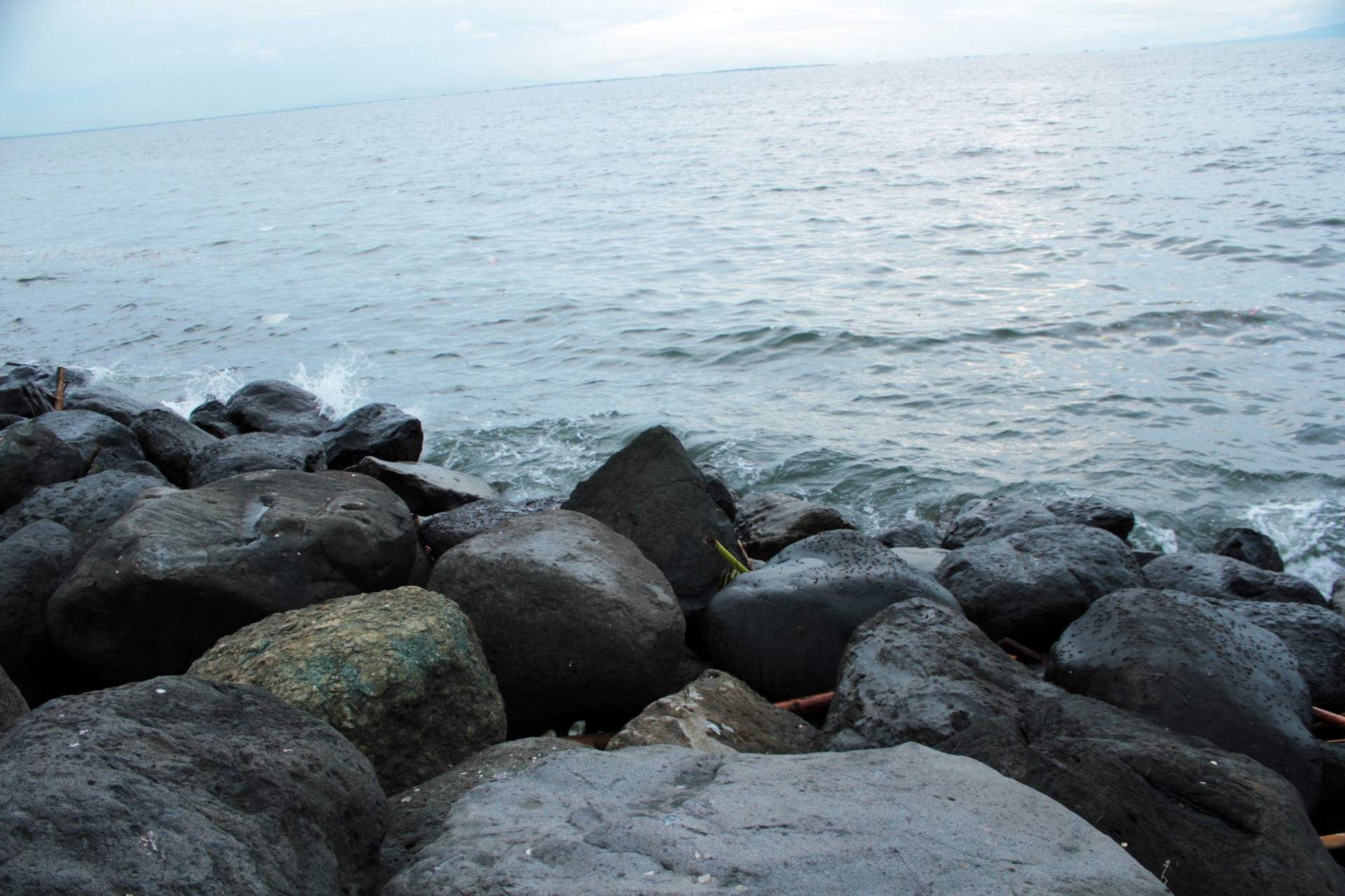 Seaside Stones