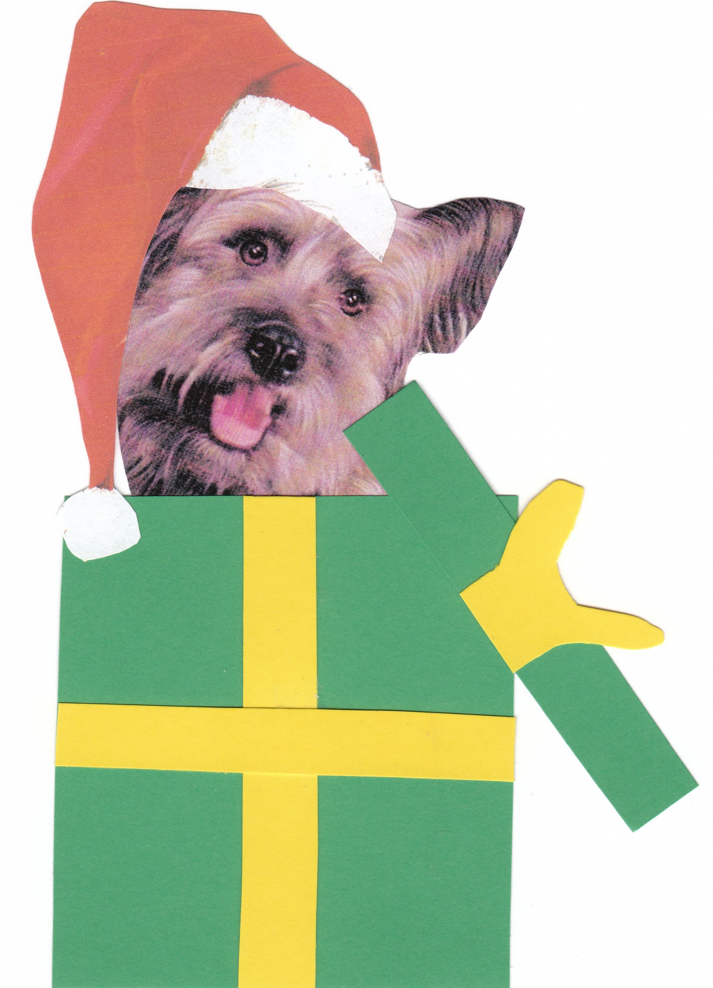 Skye Terrier em Gift Box