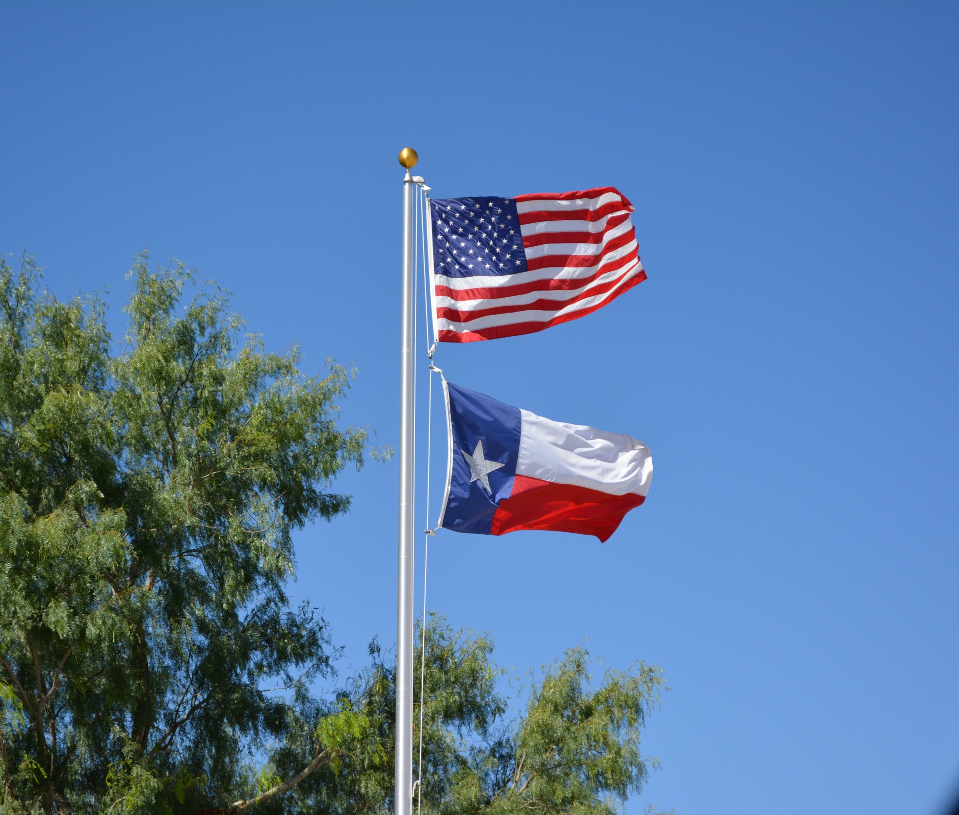 Звезды полос флага США Техас