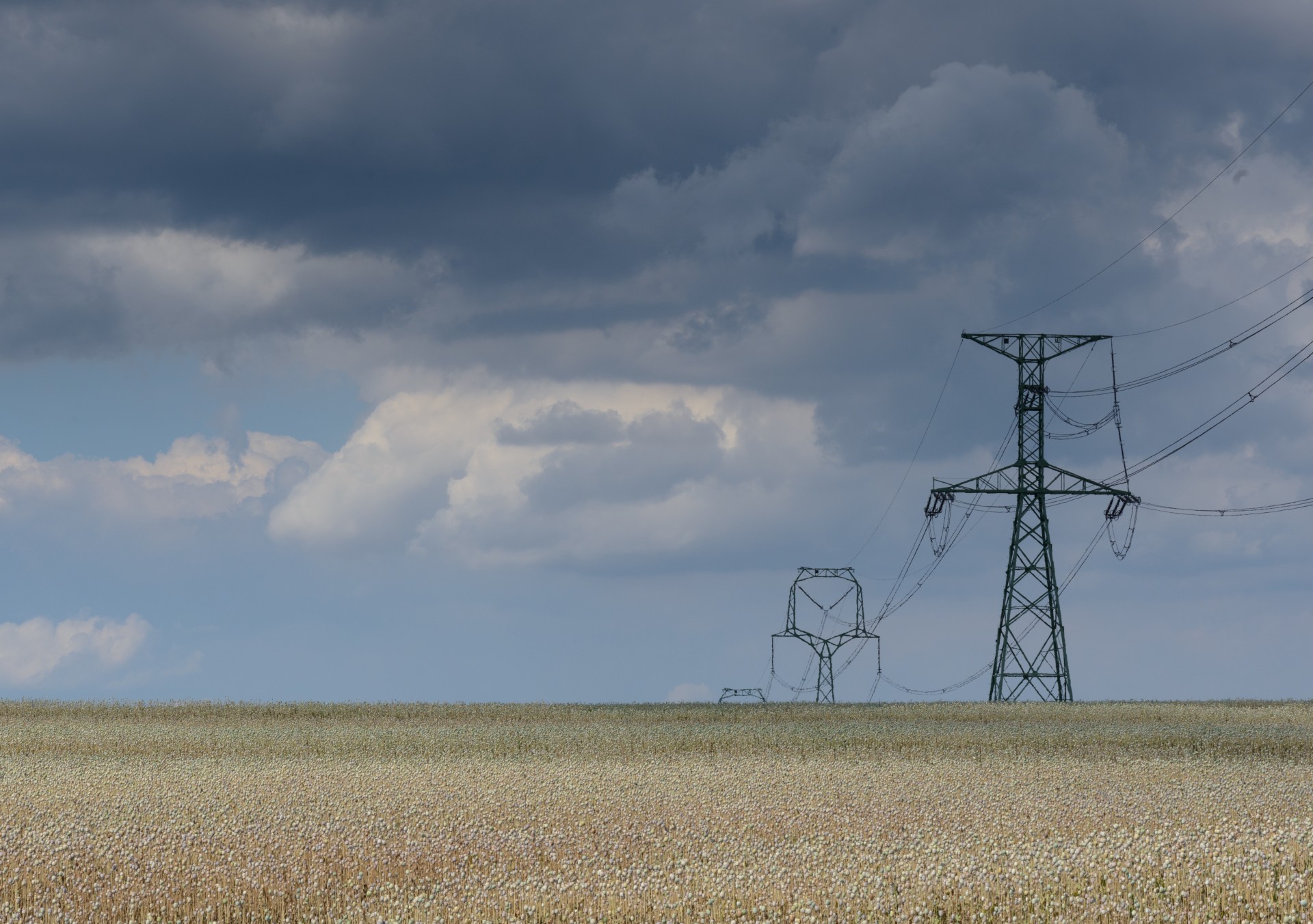 Transmission Towers In The Field