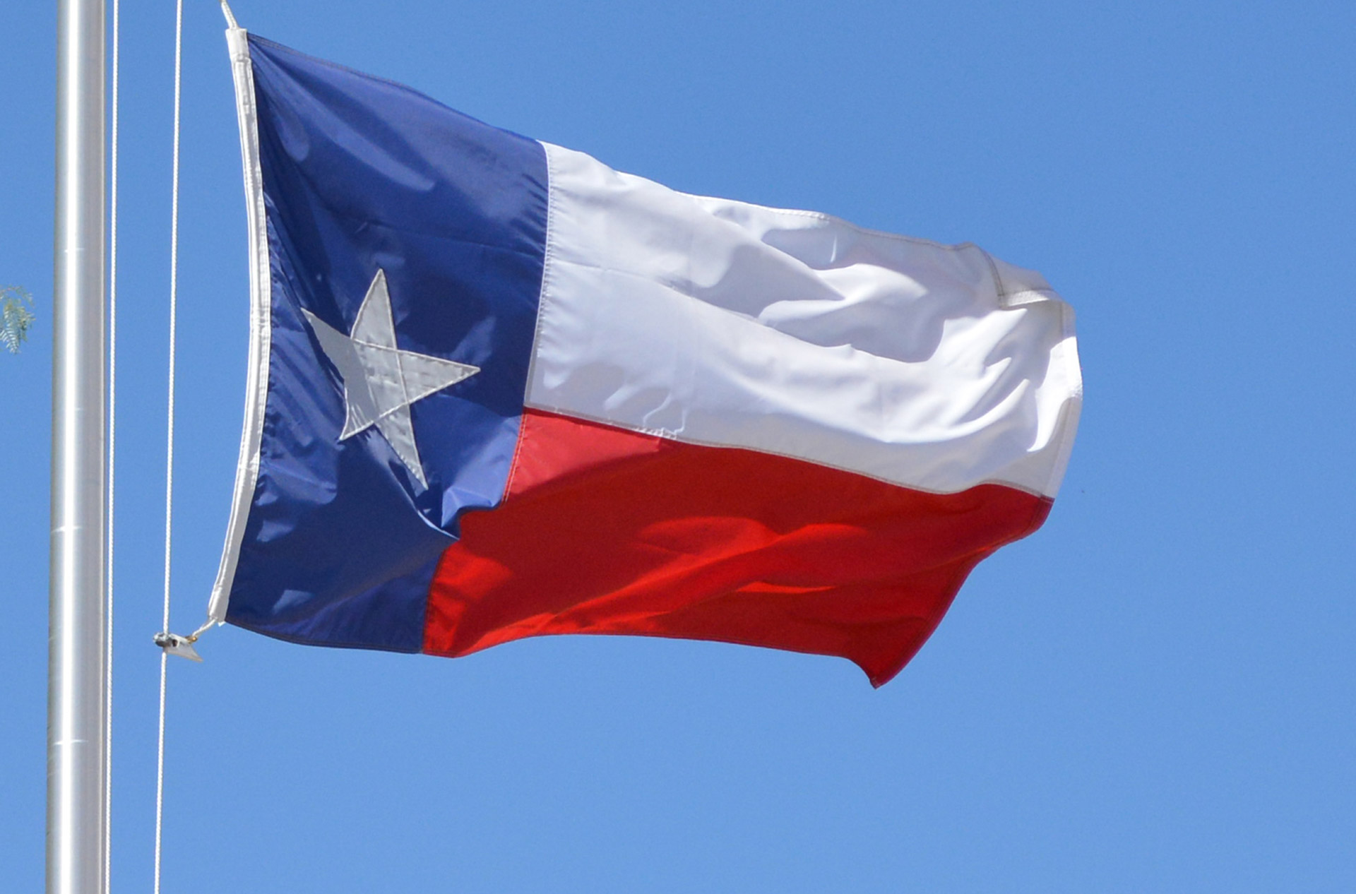 Bandiera Texas Lone Star State USA