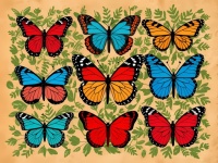 Diverse Butterflies