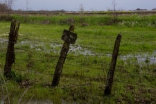 Fotografie povodně zemědělské půdy v Kal