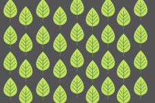 Leaf Pattern Surface Design