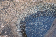 Old Milling Stone For A Birdbath