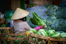Vietnam, mercado, comerciante, vendedor