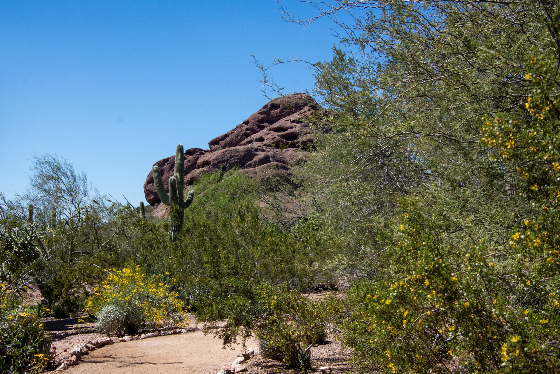 Arizona Desert Landscape Photo Free Stock Photo - Public Domain Pictures