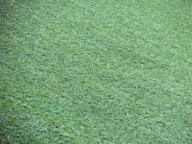 Artificial Grass Background Free Stock Photo - Public Domain Pictures