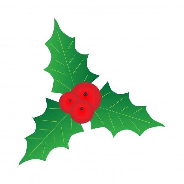 Image of Holly leaves with berries free to use