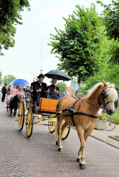 Horse And Carriage Free Stock Photo - Public Domain Pictures