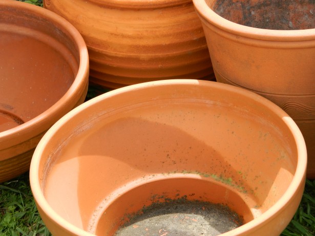 Terracotta garden plant pots