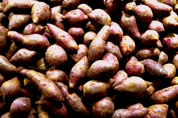 Yams Free Stock Photo - Public Domain Pictures