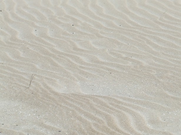 Sand Texture Free Stock Photo - Public Domain Pictures
