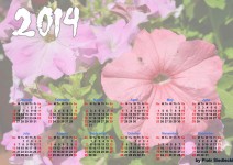 2014 Цветочный календарь