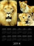 2014 Lion kalendář