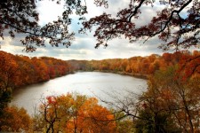 Autumn lake view