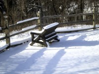 Panchina nella neve