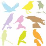 Oiseaux colorés Silhouettes