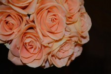 Bouquet Rosen-Blumen-Rebe blüht