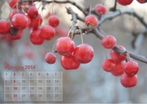 Kalender Februar