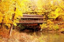 Ponte coperto e foglie gialle