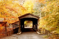 Крытый мост в лесу 1