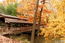Covered Bridge With Autumn Leaves