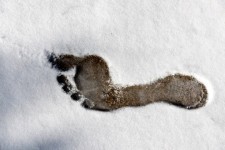 Fotspår i snön